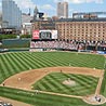 Baltimore Orioles Going to Take Flight