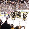 Bruin Championships