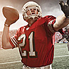 Wild Weekend Decides 2013 NFC Divisional Playoff Matchups