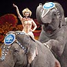 All Aboard for Circus Fun